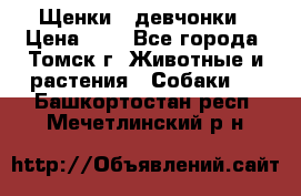 Щенки - девчонки › Цена ­ 2 - Все города, Томск г. Животные и растения » Собаки   . Башкортостан респ.,Мечетлинский р-н